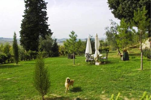 San Gimignanello Apartment Sleeps 7 Pool T490442