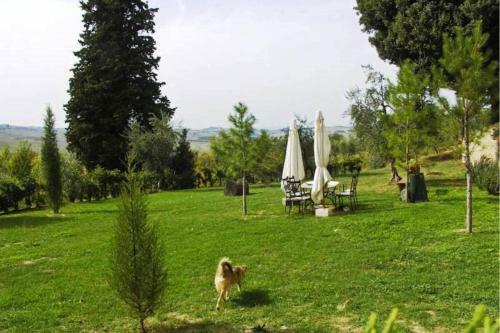 San Gimignanello Apartment Sleeps 5 Pool T490443