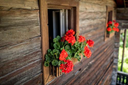 Apartamento Wassermann
