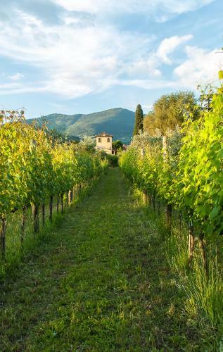 Villa Il Paradisino