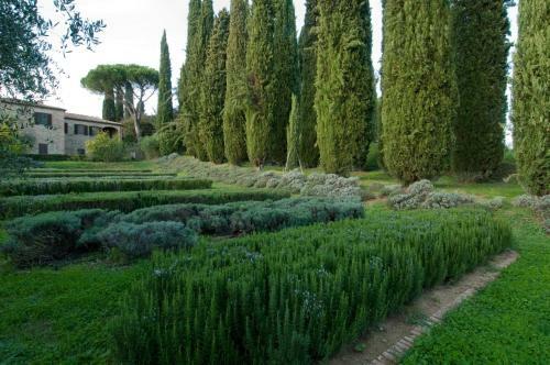 Bed & Breakfast Villa La Torre Alle Tolfe