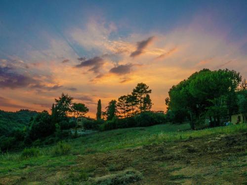 Holiday Home Frantoio