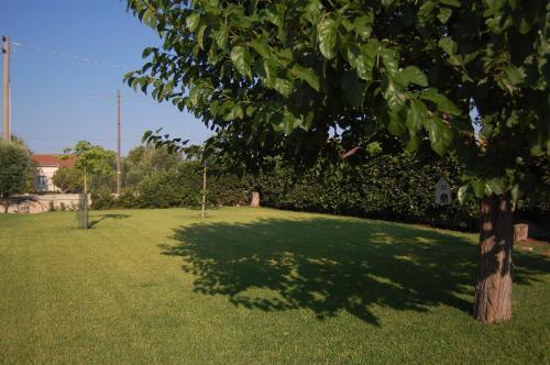 Villa Garden