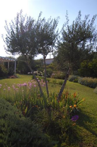 Villa Garden
