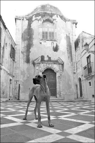 Casa Di Bendic�