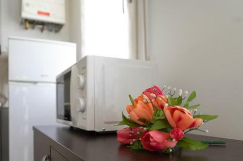 Apartamento Appartamenti Residence Tulipano
