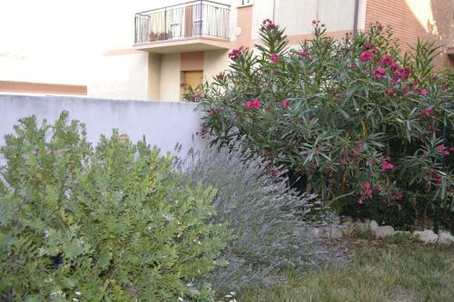 Apartamento Vigne
