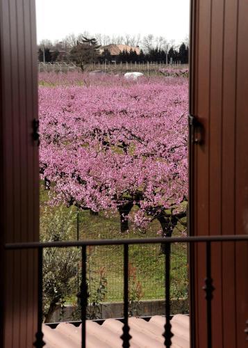 Bed & Breakfast Corte Caselle