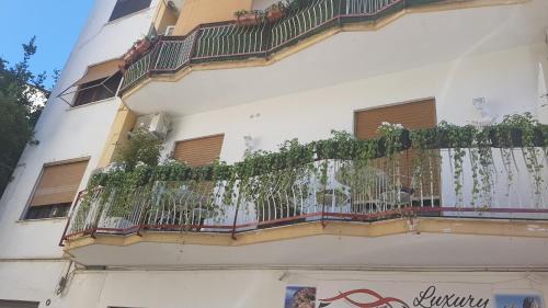Hostal Sorrento Flower Rooms