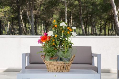 Apartamento Residence Porto Grande