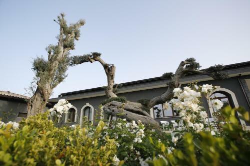 Agroturismo Terra Di Venera