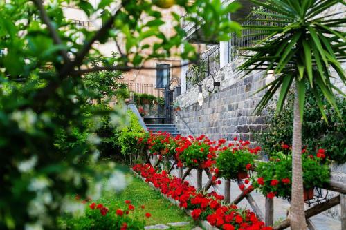 Bed & Breakfast Relais Il Pennino