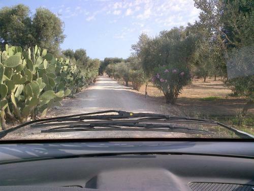 Masseria Asciano