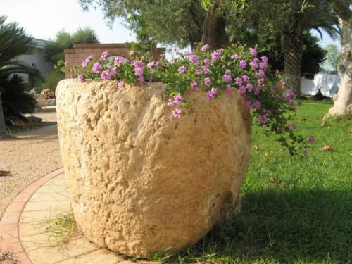 Masseria Asciano