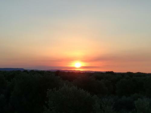 Masseria Asciano