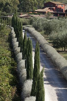 Bed & Breakfast Locanda Rossa