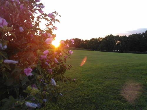 Bed & Breakfast Casale San Germano