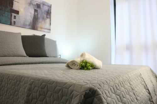 Bed & Breakfast Albeleo House