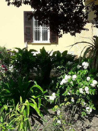 Apartamento Aliso'