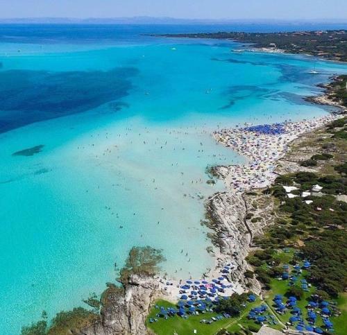 Apartamento Il Fico Di Zia Sabina