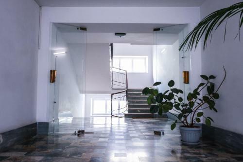 Hostal Mariohome