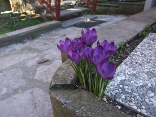 Apartamento Villa Agrifogli