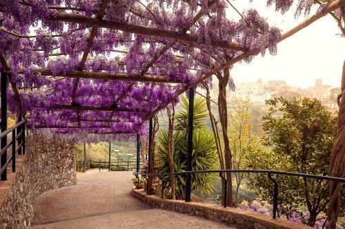 Apartamento Villa San Lorenzo