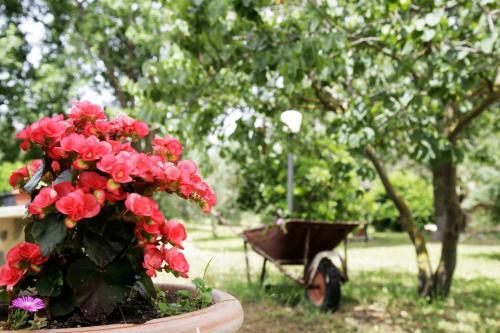 Agroturismo Agriturismo La Gioia