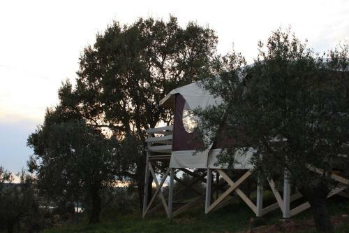 Glamping Vedetta Lodge