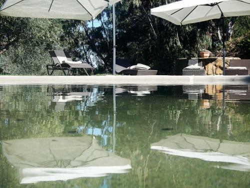 Glamping Vedetta Lodge