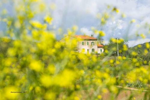 Bed & Breakfast Val Martina