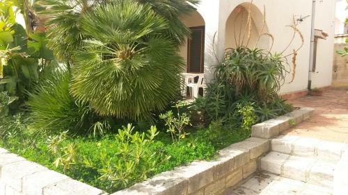 Apartamento Appartamento Nausica