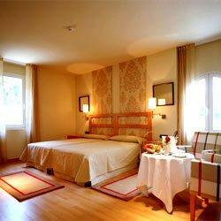 Hotel Parador De Vic