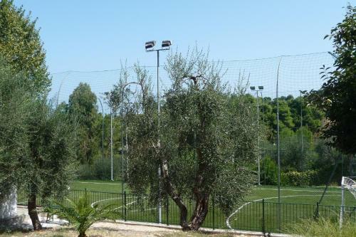 Hotel Camping Villaggio Internazionale
