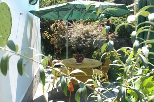 Bed & Breakfast Fiore Di Zucca