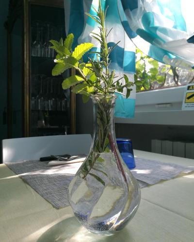 Bed & Breakfast Fiore Di Zucca
