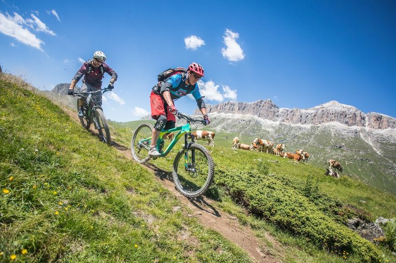 Bike Hotel Linder