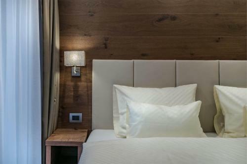 Hotel Arya Alpine Lodge