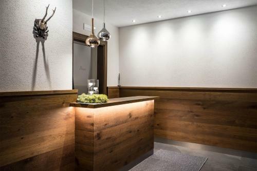 Hotel Arya Alpine Lodge