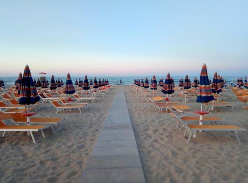 Hotel Turistica