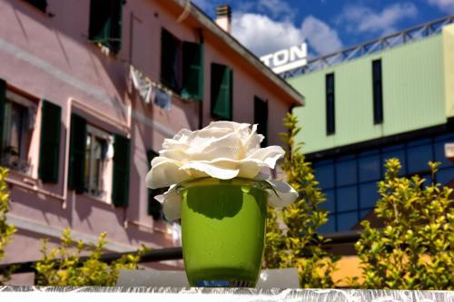 Hostal B&B Sylva Suites