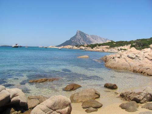 Apartamento Appartamento Degli Ulivi