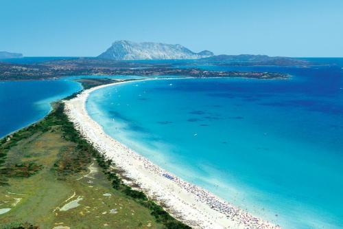 Apartamento Appartamento Degli Ulivi