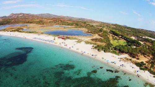 Apartamento Appartamento Degli Ulivi