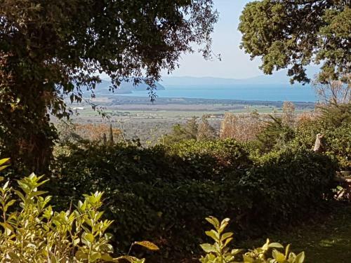 Apartamento Monica Appartamenti