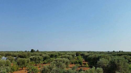 Bed & Breakfast La Vecchia Lamia