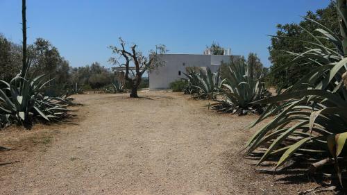 Villa Delle Agavi Gallipoli