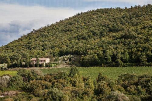 Villa Sangiovese