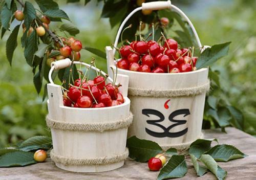 Bed & Breakfast Il Borgo Dell' Etna
