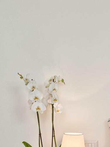 Apartamento Calasetta Residence